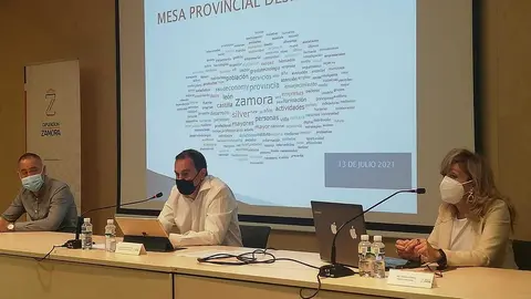 mesa provincial de la despoblación