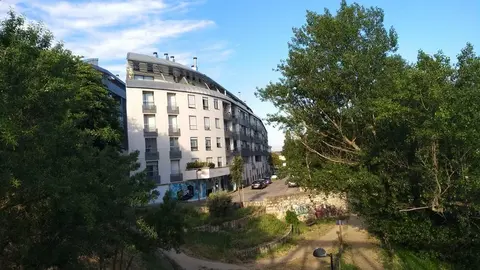 zamora buenos días paseo matutino  (17)