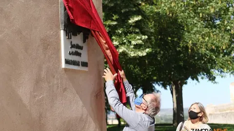 538862ca-d575-4a26-90cf-8aefbc39efed