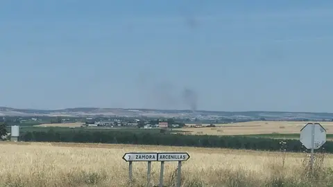 Fuego en el término de Fresno de la Ribera