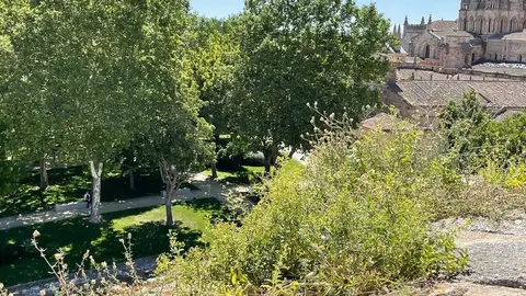 AbandonoCastillo (2)