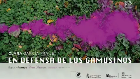 2103gamusinos_cartel