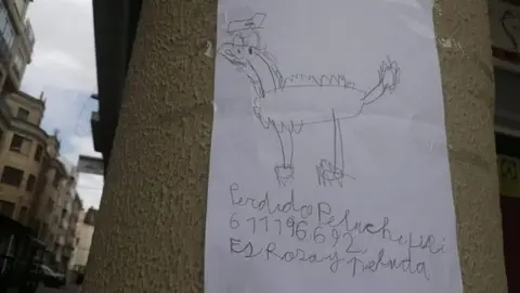 Dibujo del peluche perdido