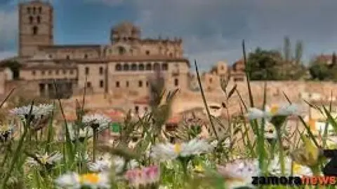 d36a0824848883bf3cd9583a765b0f67_XL