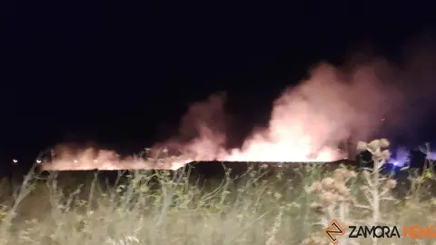 fuego la hiniesta zamora (19)