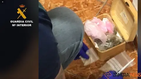 Operación Marbellus de la Guardia Civil