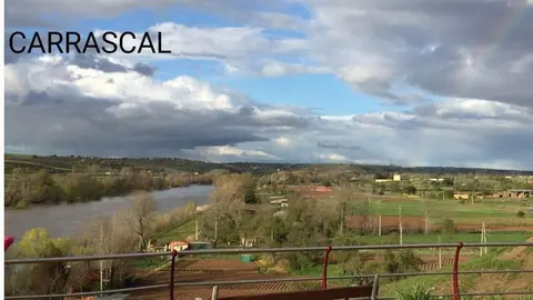 carrascal