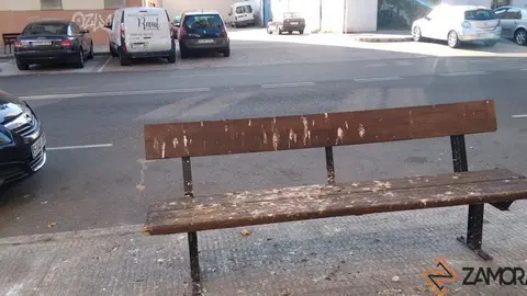 Aspecto que presenta el banco