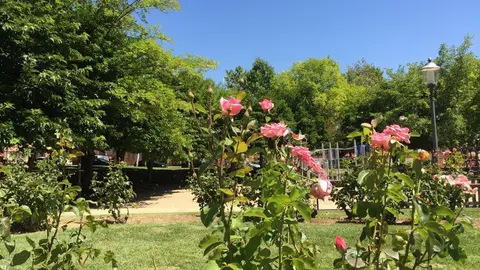 Jardines del parque León Felipe