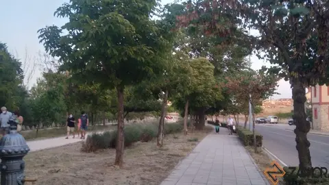 gente paseando bajo la sombra de los &aacute;rboles