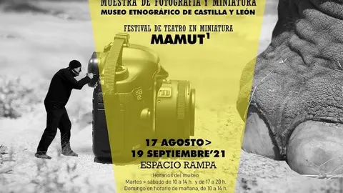 Exposición Objetivo Paquidermo