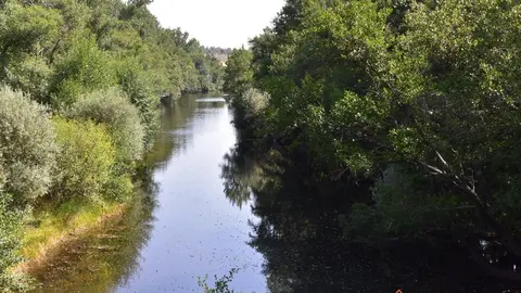 Santa Eulalia del Río Negro