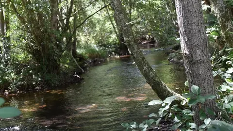 santivañez de tera (12)