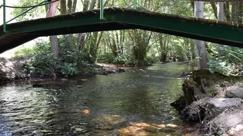 santivañez de tera (13)