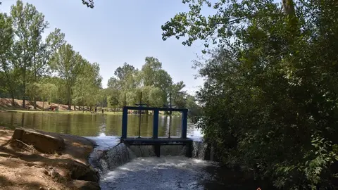 santivañez de tera (17)