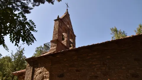 sejas (2)