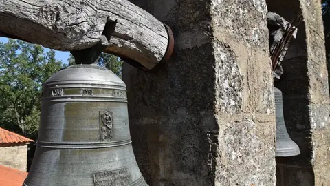 sejas (5)