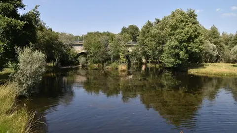 rionegro del puente (29)