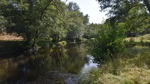 sejas de sanabria (12)