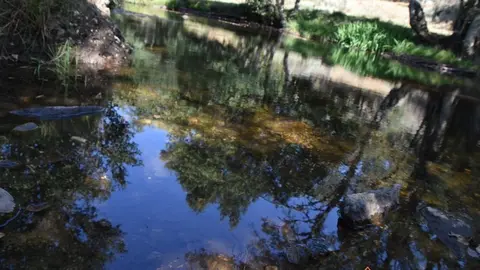 sejas de sanabria (16)