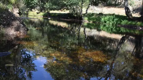 sejas de sanabria (18)