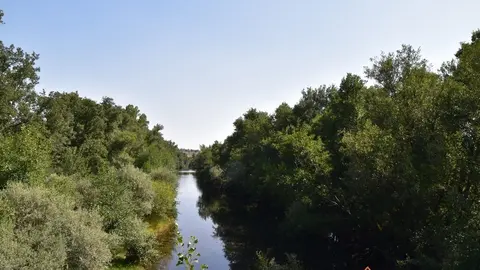 santa eulalia del río negro (6)