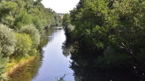 santa eulalia del río negro (7)
