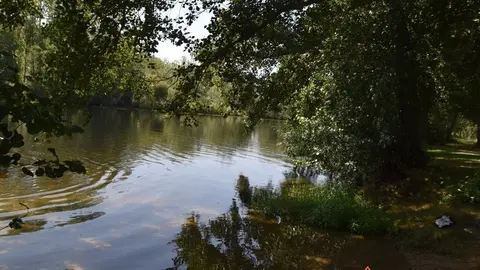 pumarejo y camarzana (11)