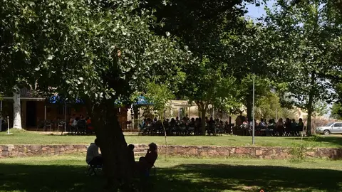 pumarejo y camarzana (12)