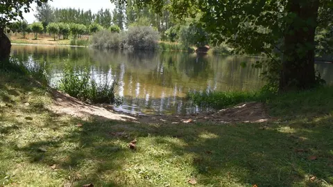 pumarejo y camarzana (14)