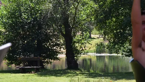 pumarejo y camarzana (26)
