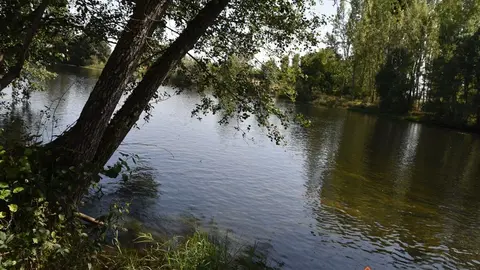 pumarejo y camarzana (28)