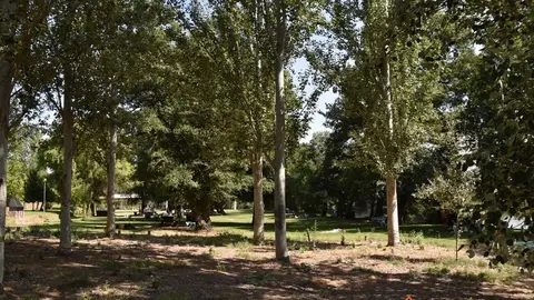 pumarejo y camarzana (1)