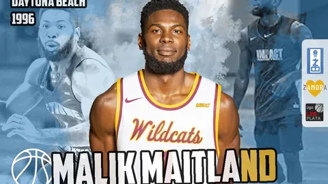Malik 1996