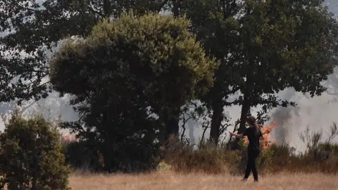 fuego fresnadillo  (3)