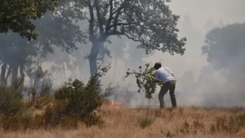 fuego fresnadillo  (6)