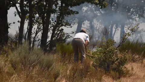 fuego fresnadillo  (9)