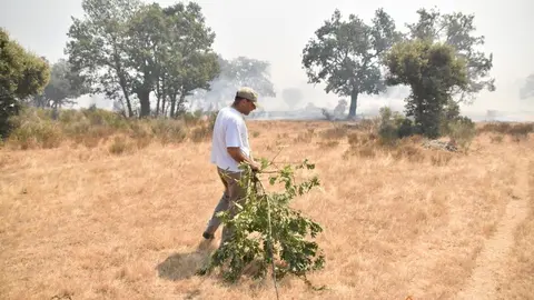 fuego fresnadillo  (11)