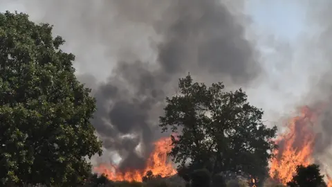 fuego fresnadillo  (13)