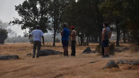 fuego fresnadillo  (15)