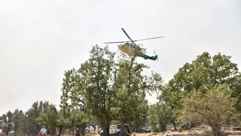 fuego fresnadillo  (21)