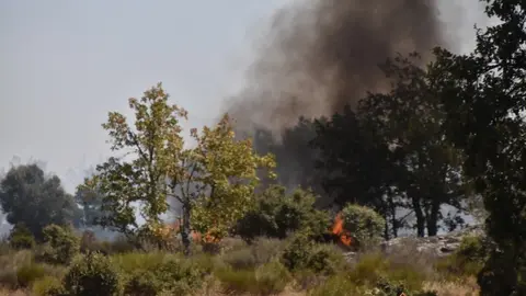 fuego fresnadillo  (29)