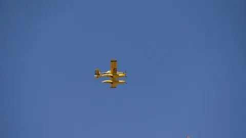 fuego fresnadillo  (30)