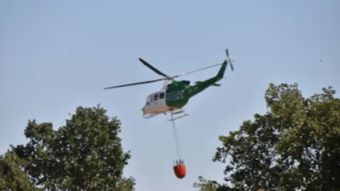 fuego fresnadillo  (32)