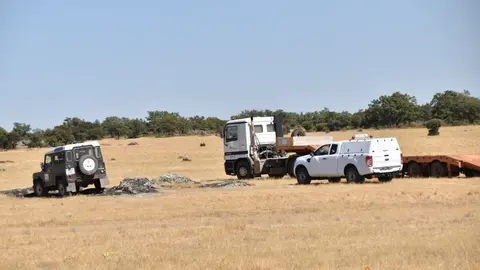 fuego fresnadillo  (38)