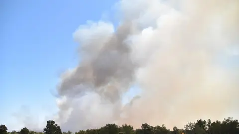 fuego fresnadillo  (48)