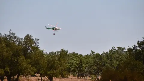 fuego fresnadillo  (49)