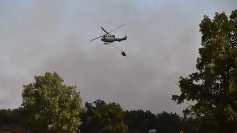 fuego fresnadillo  (63)