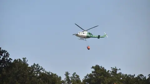 fuego fresnadillo  (86)