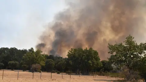 fuego fresnadillo  (111)